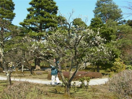 f:id:holala:20120401085425j:image