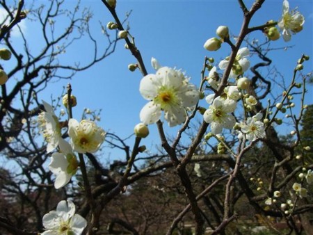 f:id:holala:20120401085426j:image