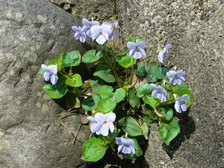 f:id:holala:20120421152406j:image