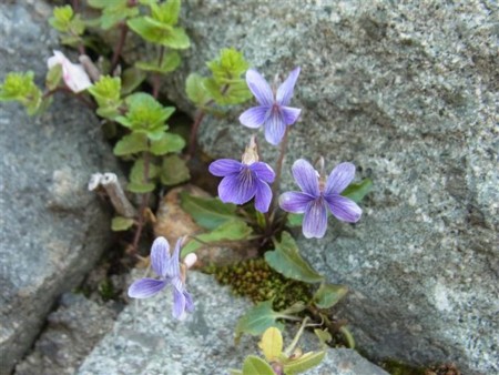 f:id:holala:20120421152408j:image