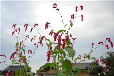 f:id:holala:20120929111737j:image:left