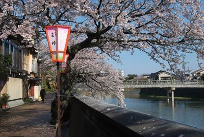 f:id:holala:20130411082345j:image