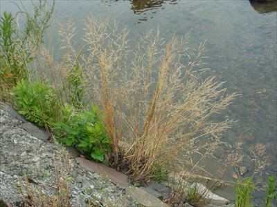 f:id:holala:20130607063018j:image