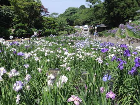 f:id:holala:20140708104948j:image