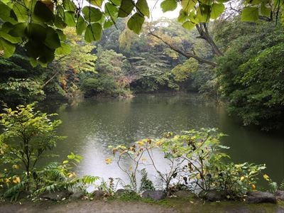 f:id:holala:20141107213013j:image