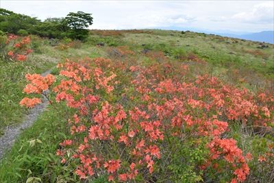 f:id:holala:20150612093738j:image