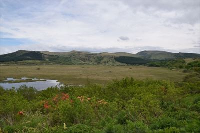 f:id:holala:20150612093739j:image