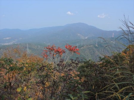 f:id:holala:20151024150318j:image f:id:holala:20151024150318j:image