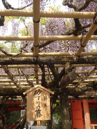 f:id:holala:20170504073239j:image f:id:holala:20170504073239j:image
