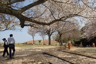 f:id:holala:20180403205351j:image
