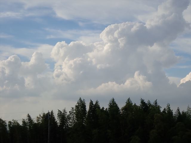 f:id:holala:20190904212828j:plain f:id:holala:20190904212828j:plain