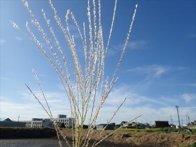 f:id:holala:20190926232501j:plain f:id:holala:20190926232501j:plain