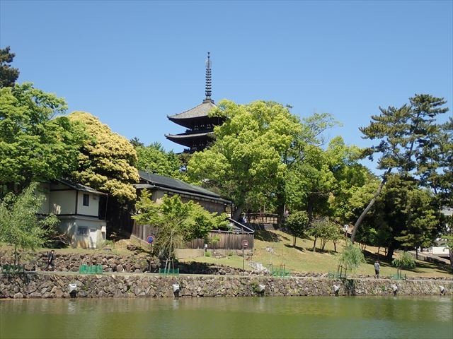 f:id:holala:20200510142224j:plain f:id:holala:20200510142224j:plain