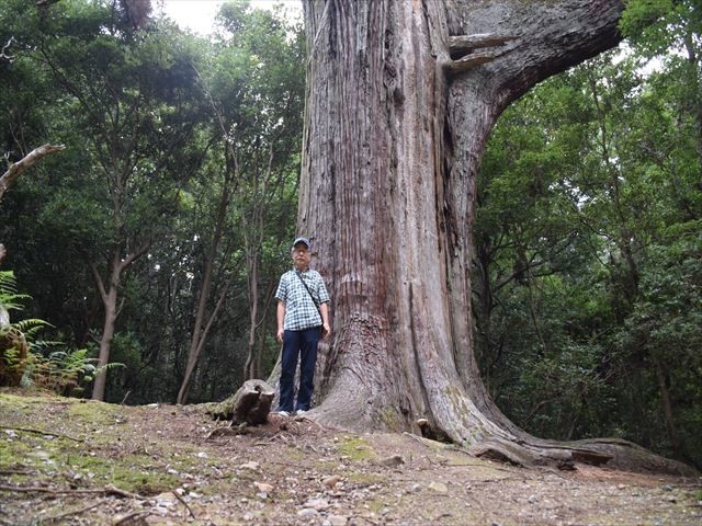f:id:holala:20200915205431j:plain f:id:holala:20200915205431j:plain