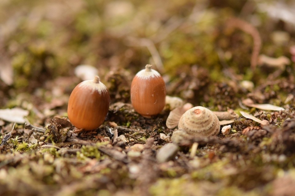 f:id:holala:20220201194633j:plain