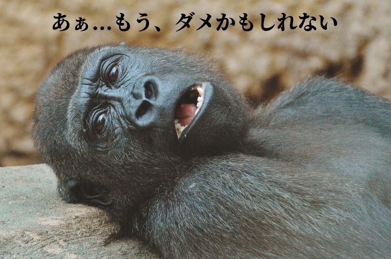もうダメかもしれない