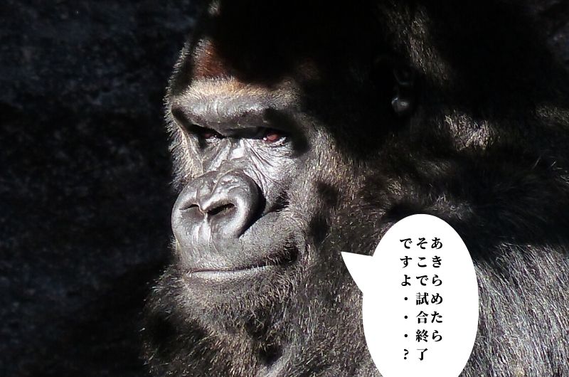 諦めたらそこで試合終了