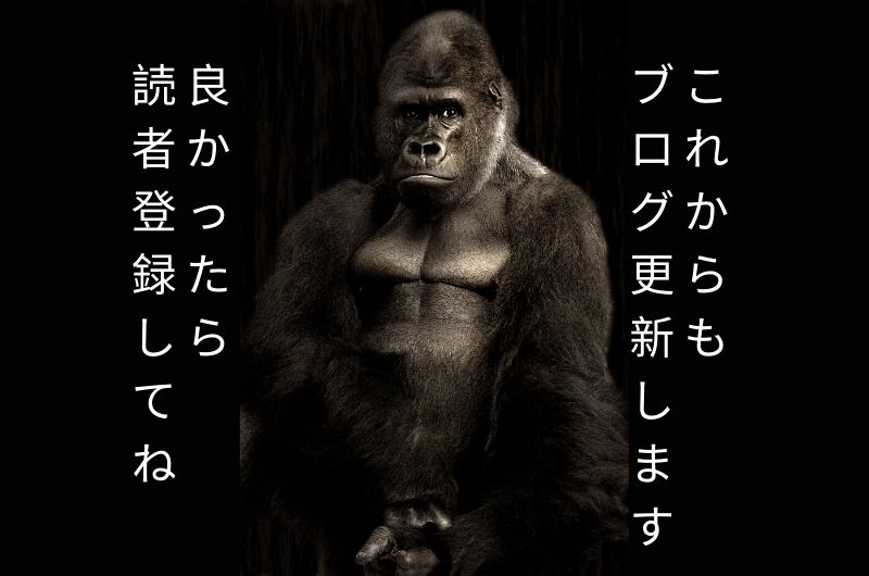 これからも宜しくお願いします