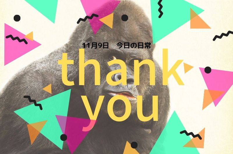 f:id:holdambition:20191109205154j:plain