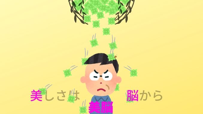 美脳