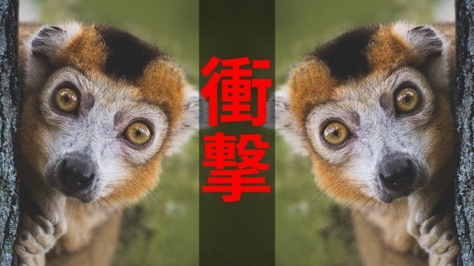 衝撃