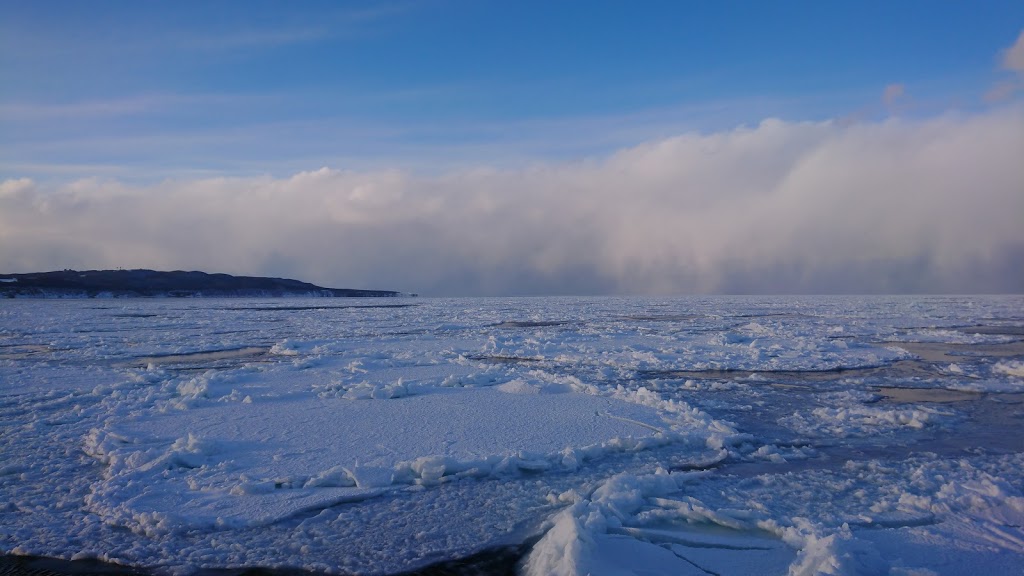 f:id:holidaybymaki:20190429224800j:plain f:id:holidaybymaki:20190429224800j:plain