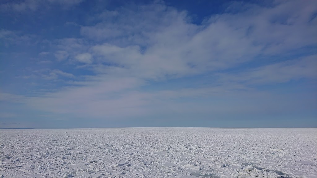 f:id:holidaybymaki:20190429231304j:plain f:id:holidaybymaki:20190429231304j:plain