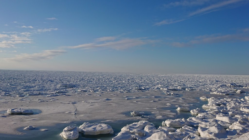 f:id:holidaybymaki:20190429232123j:plain f:id:holidaybymaki:20190429232123j:plain