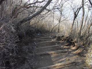 f:id:holidayroad:20170308214231j:plain
