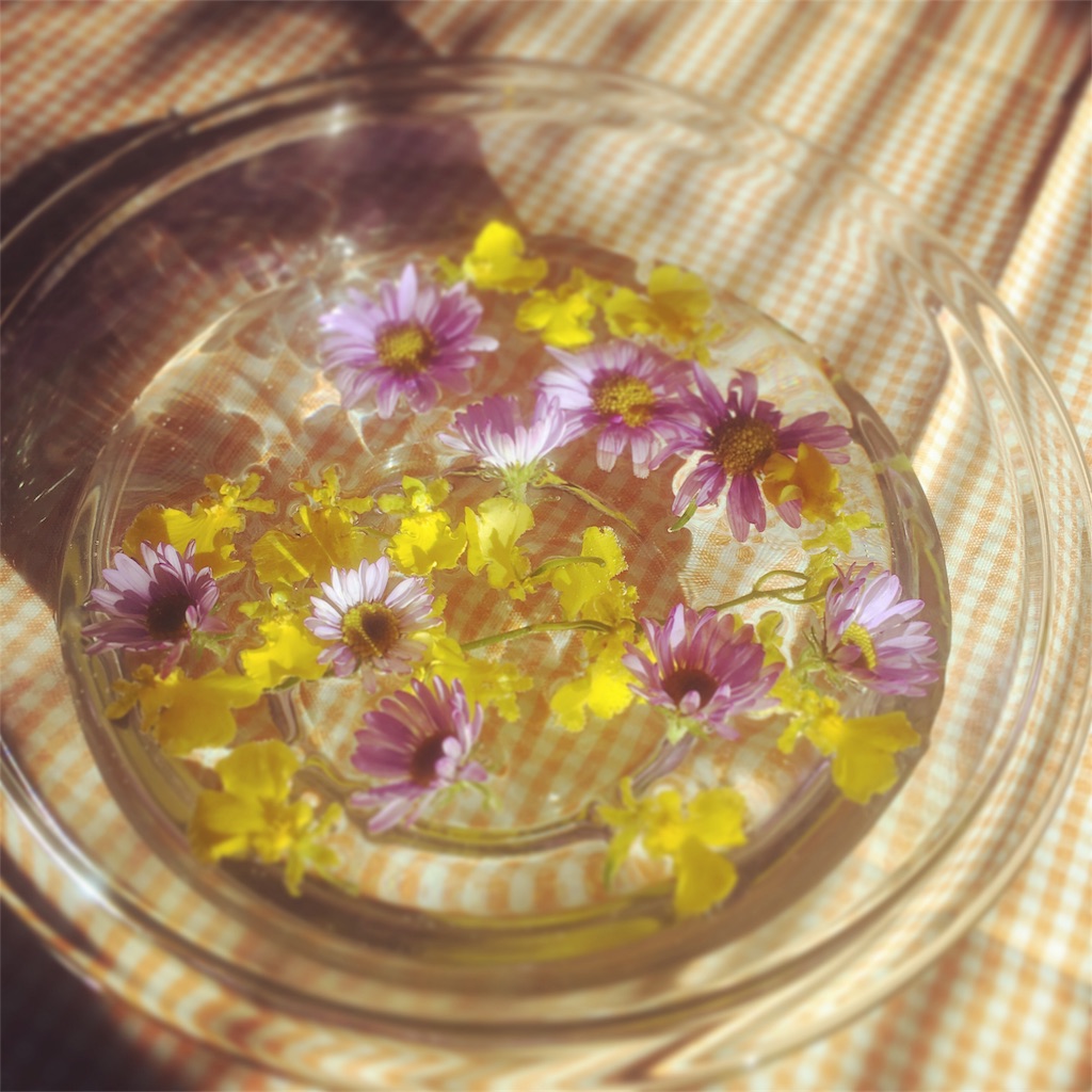 f:id:holistic-unison:20180102123552j:image