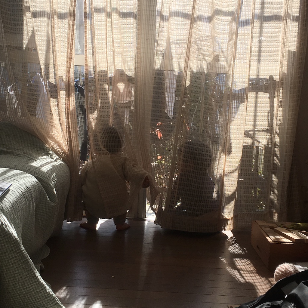 f:id:holistic-unison:20180116170327j:image