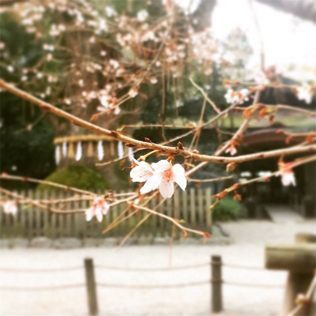 f:id:holistic-unison:20180201120836j:image f:id:holistic-unison:20180201120836j:image