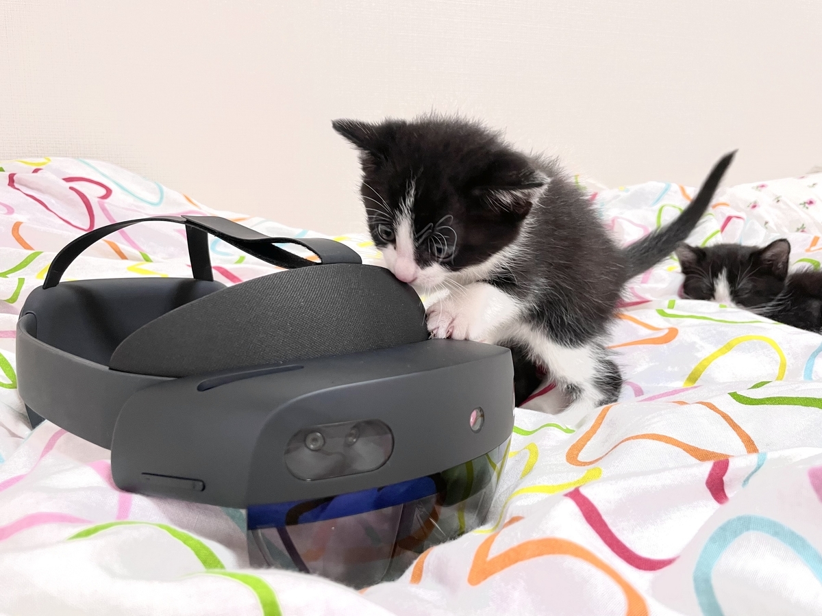 HoloLens2に興味深々の猫ちゃん