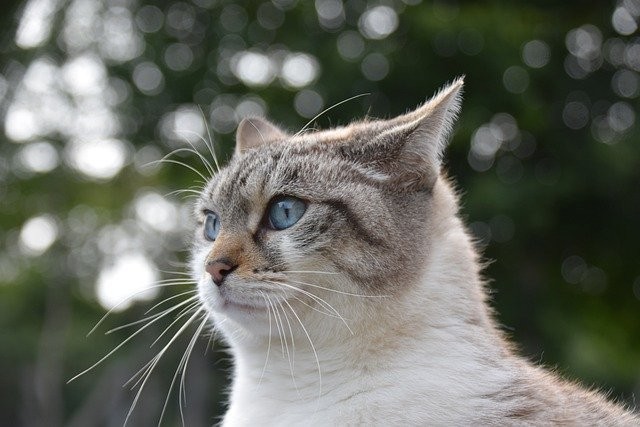 f:id:holoholohoi:20220816105125j:image