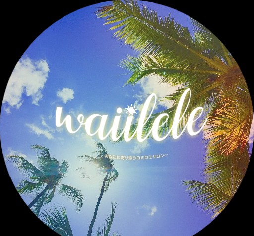 f:id:holoholohoi:20221129143917j:image f:id:holoholohoi:20221129143917j:image