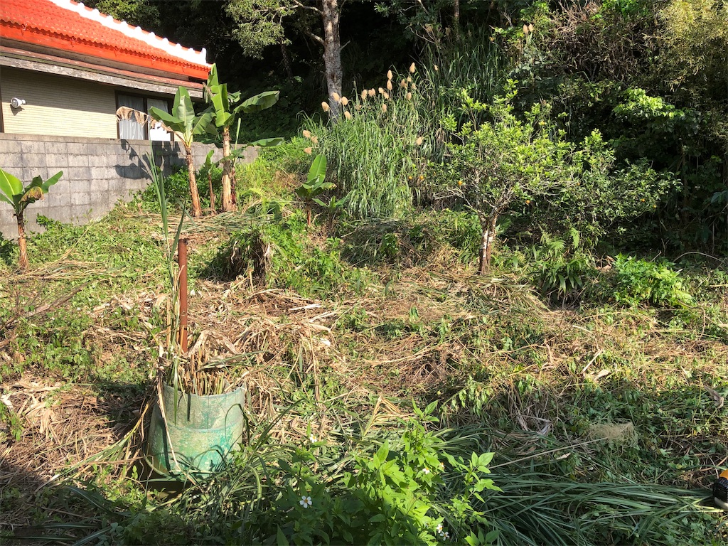 f:id:holohololife:20191015215832j:image f:id:holohololife:20191015215832j:image