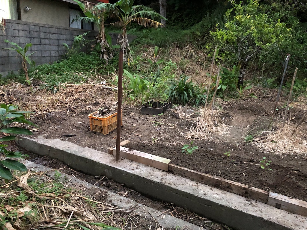 f:id:holohololife:20191015220128j:image f:id:holohololife:20191015220128j:image