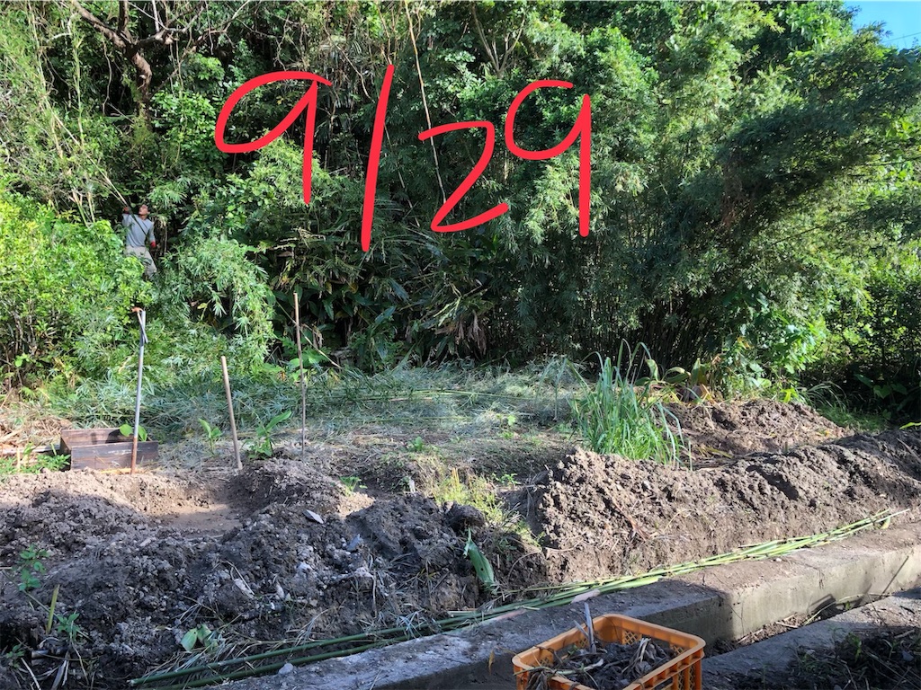 f:id:holohololife:20191015220137j:image f:id:holohololife:20191015220137j:image