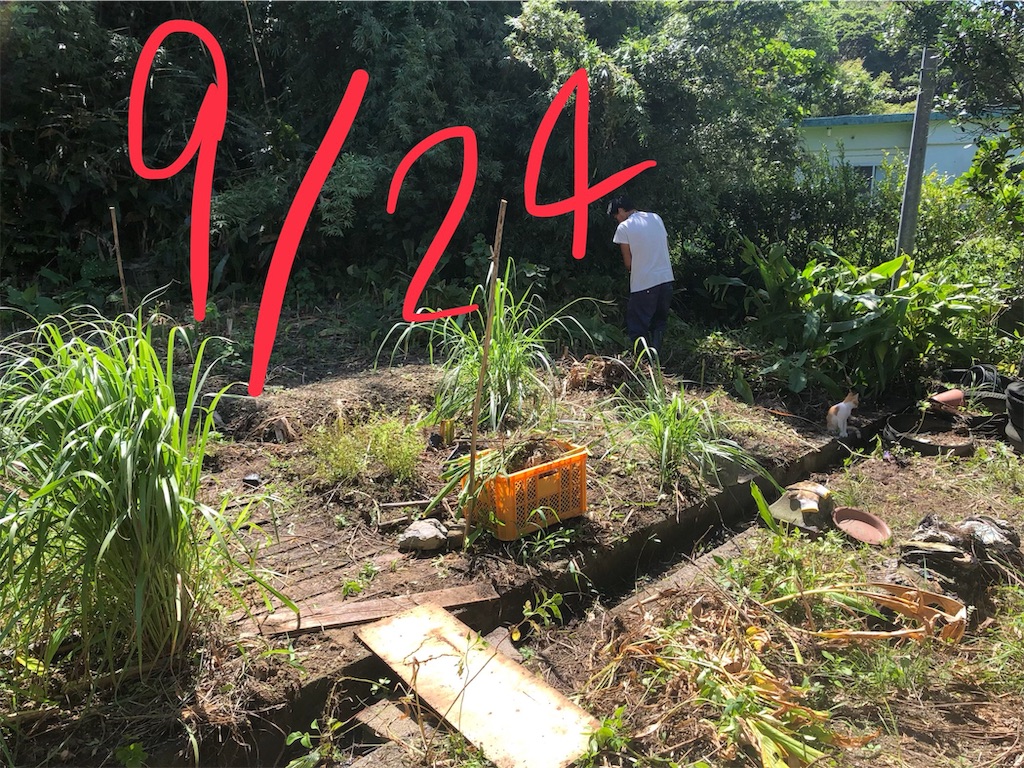 f:id:holohololife:20191015220145j:image f:id:holohololife:20191015220145j:image