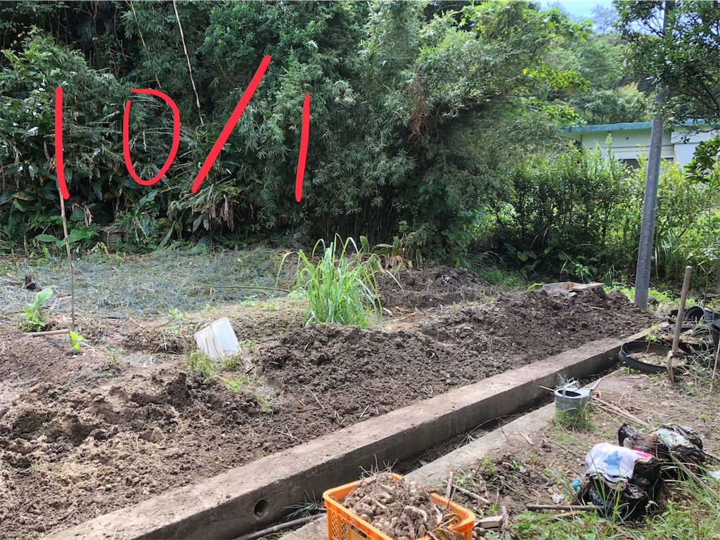 f:id:holohololife:20191015220150j:image f:id:holohololife:20191015220150j:image