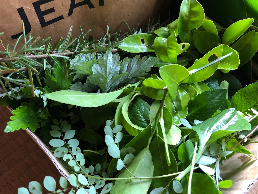 f:id:holohololife:20191021185303j:image f:id:holohololife:20191021185303j:image