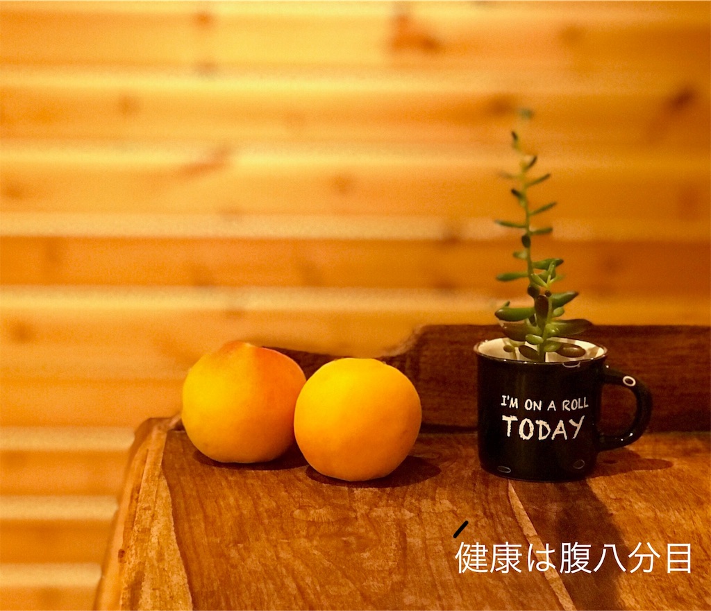 f:id:holoholozoku:20180712153029j:image f:id:holoholozoku:20180712153029j:image