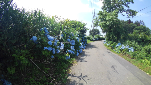 f:id:holonholon:20180721194404j:plain f:id:holonholon:20180721194404j:plain