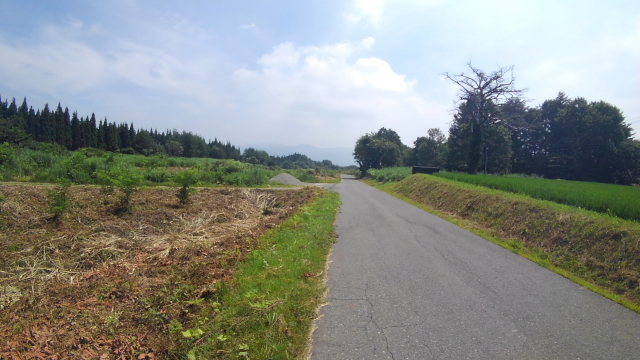 f:id:holonholon:20180721194449j:plain f:id:holonholon:20180721194449j:plain
