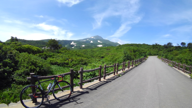 f:id:holonholon:20180721194555j:plain f:id:holonholon:20180721194555j:plain