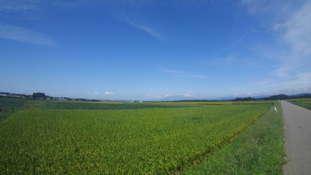 f:id:holonholon:20180903200053j:plain f:id:holonholon:20180903200053j:plain