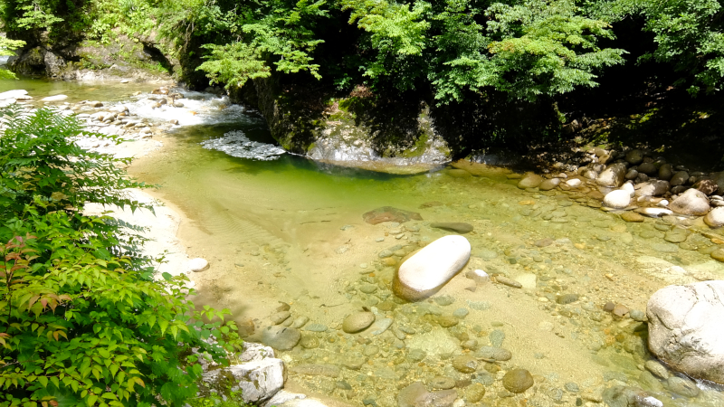 f:id:holonholon:20190713211936j:plain f:id:holonholon:20190713211936j:plain