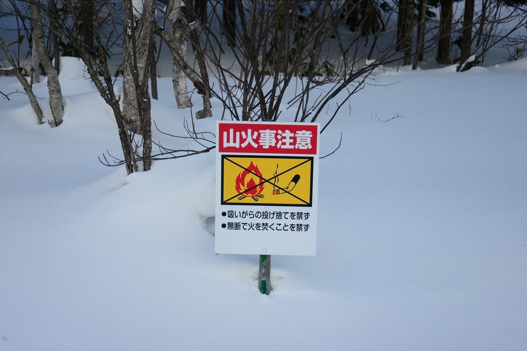 f:id:holto:20190201101457j:plain