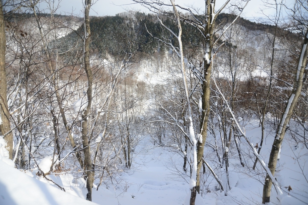 f:id:holto:20190201101516j:plain