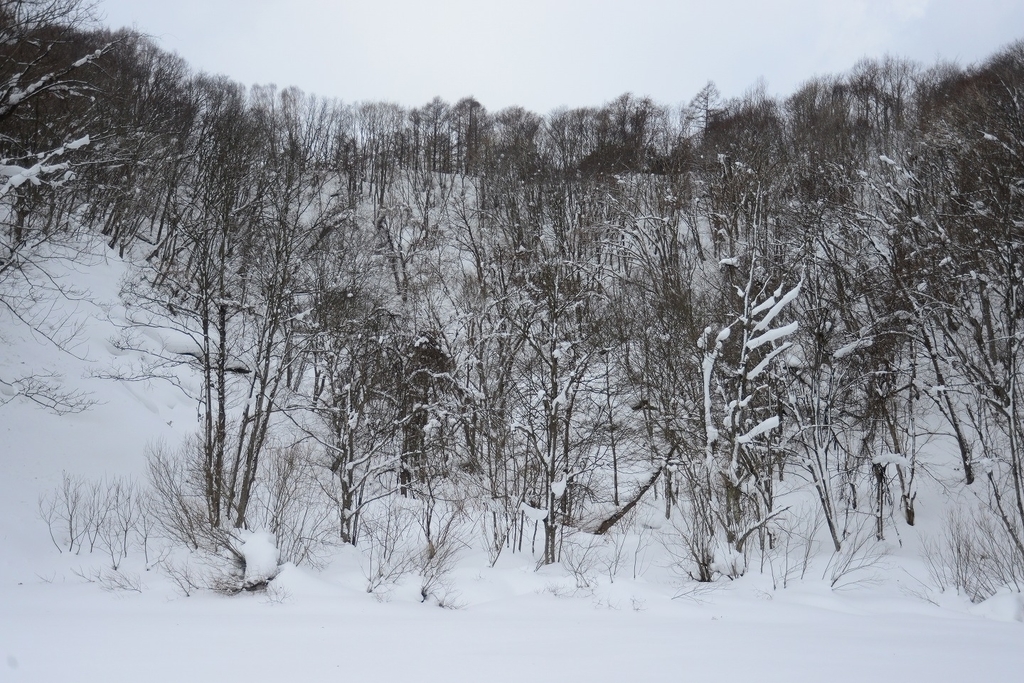 f:id:holto:20190201101522j:plain